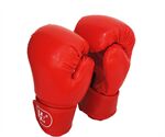 Găng tay Boxing chữ H SD015
